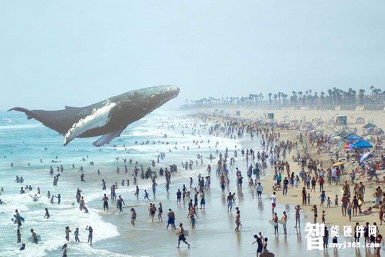Magic_Leap.jpg Magic_Leap.jpg