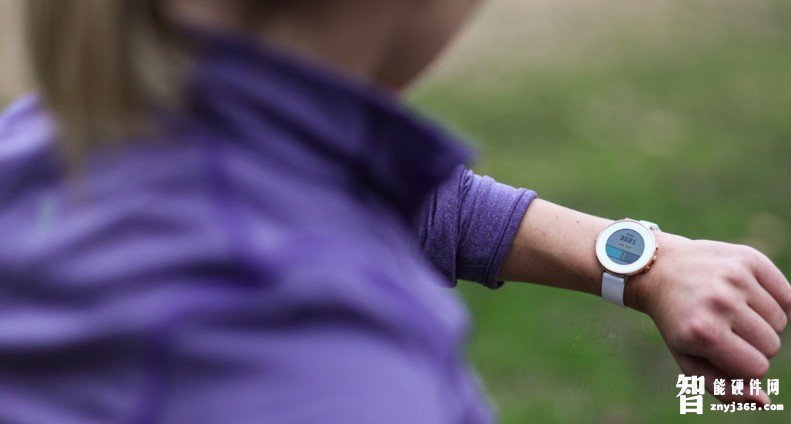 Pebble.jpg Pebble.jpg