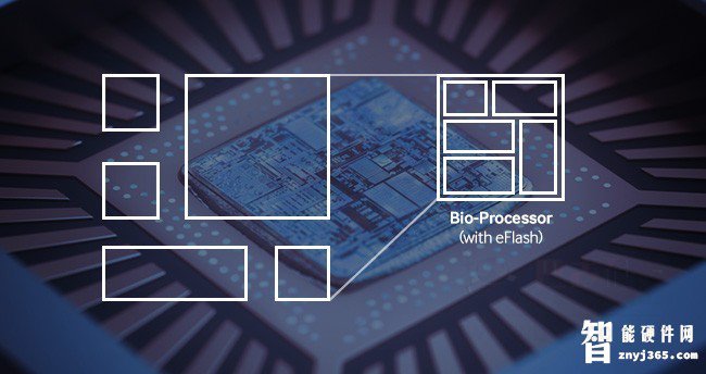 Bio-Processor.jpg Bio-Processor.jpg