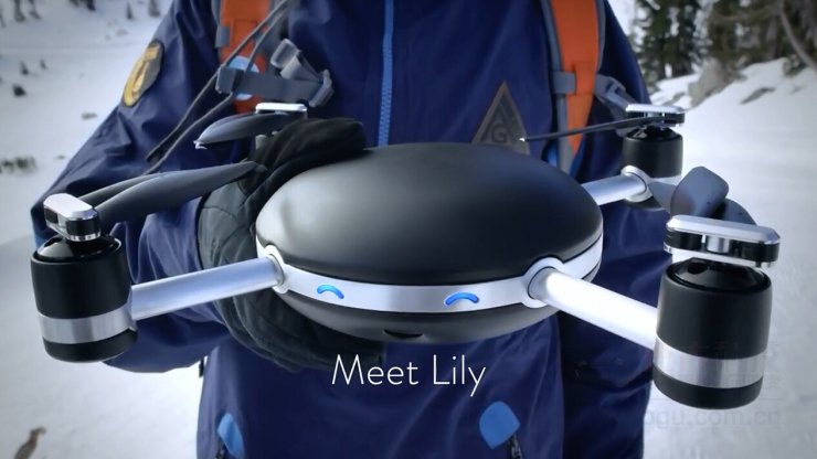 Lily.jpg Lily.jpg